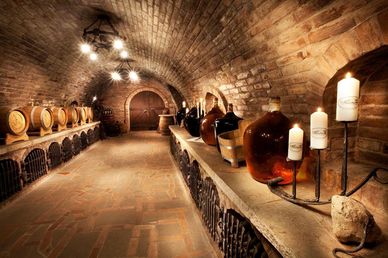 Vinarstvi U Kaplicky Hotel Zaječí Екстериор снимка